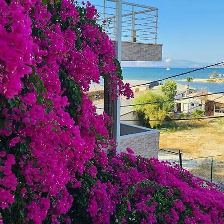 Begonvil Otel Cesme Exterior photo