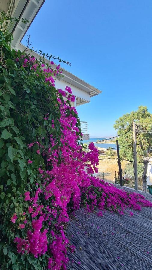 Begonvil Otel Cesme Exterior photo